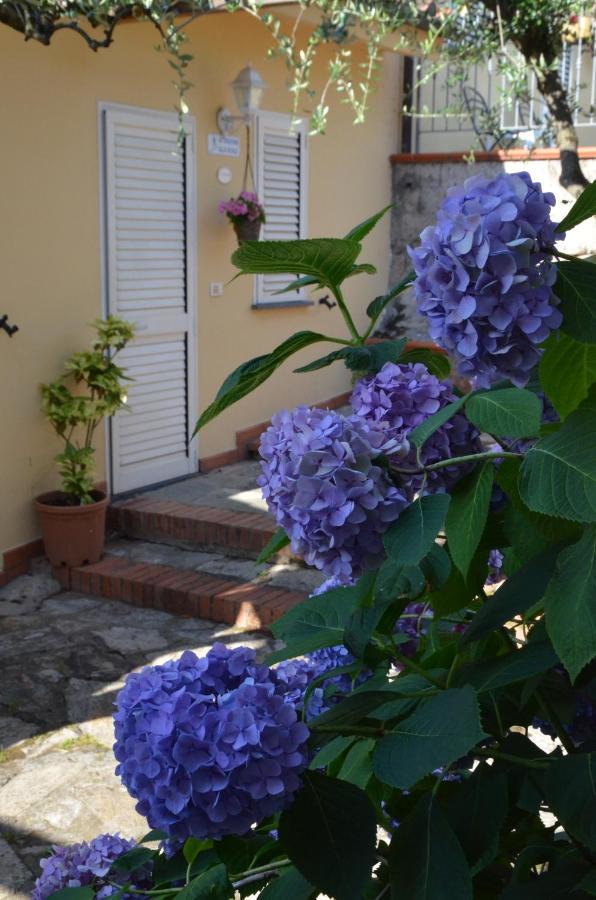 Maison Brinati Bed And Breakfast Monsummano Terme Zewnętrze zdjęcie